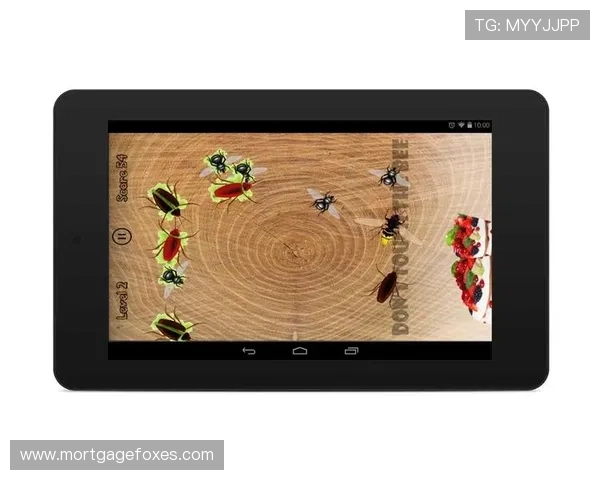 凯发娱乐网站app官方正版下载渠道推荐，确保每一次游戏都安全可靠